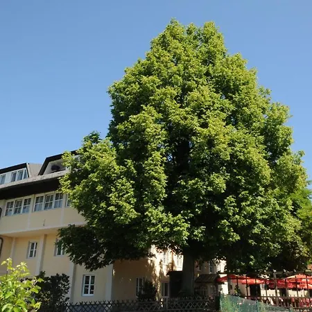 Hotel Gasthof Bacher