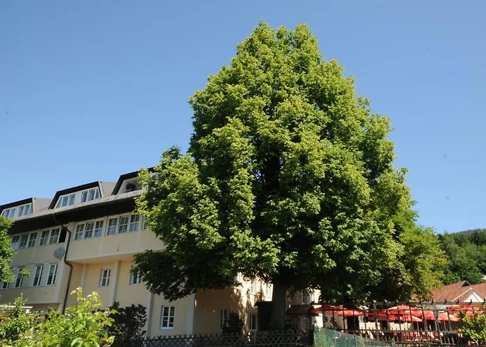 Hotel Gasthof Bacher
